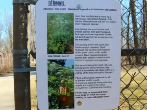 Cow Parsnip warning sign posted by the City of Toronto - Parks, Forestry & Recreation